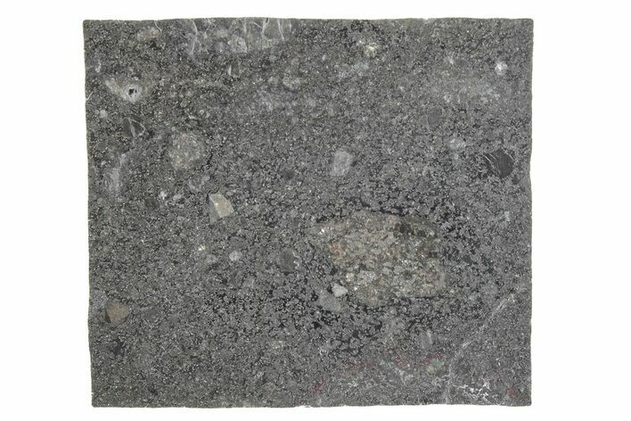 Polished Mesosiderite Meteorite Slice ( g) - NWA #286230